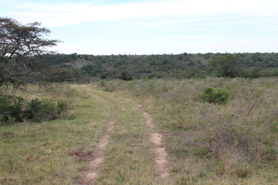 0 Bedroom Property for Sale in Bathurst Eastern Cape